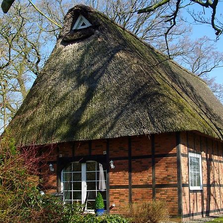 Gaestehaus Eulennest Grossenworden Kültér fotó